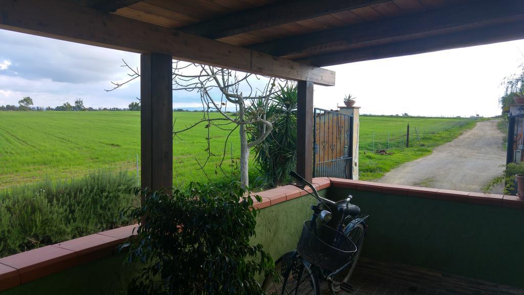 Appartamento Il Salice Casa Minnina Exterior foto